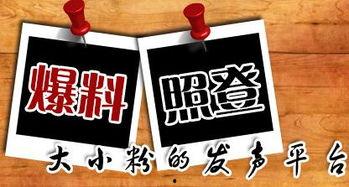 怎么爆料当地新闻的人,如何成为一线记者的幕后英雄  第1张